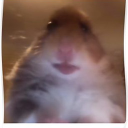 hamster SFS UNIVERSE