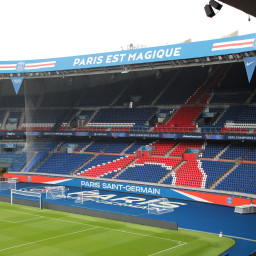 SFS  Universe CEO SFS UNIVERSE