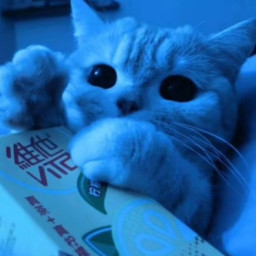 djdevehfbfb_cz123 SFS UNIVERSE