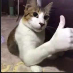 spacexblueprints671 SFS UNIVERSE