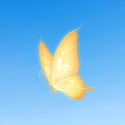 Butterflies Studios SFS UNIVERSE