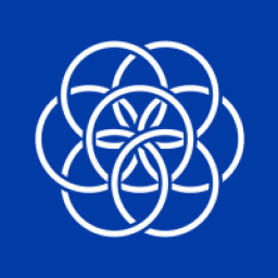 amine- SFS UNIVERSE