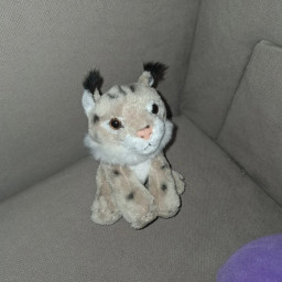 Starwind SFS UNIVERSE